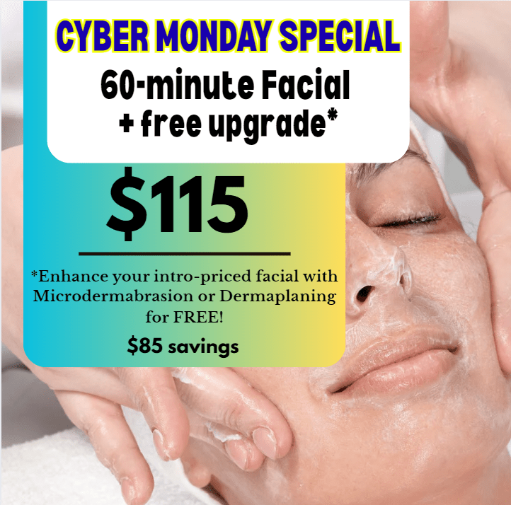 Cyber Monday 60 Minute Customized Facial + Microdermabrasion OR Dermaplaning