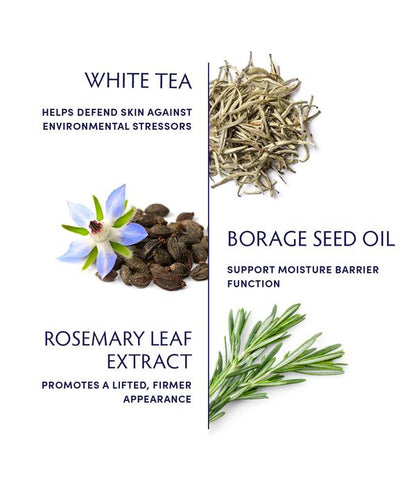 White Tea Antioxidant Mask